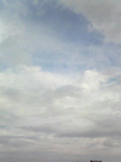081124_0840.jpg