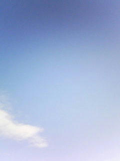 081125_0758.jpg