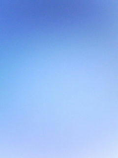 081126_0820.jpg