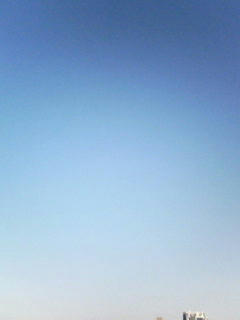 081126_0821.jpg