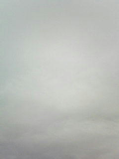 081127_0801.jpg