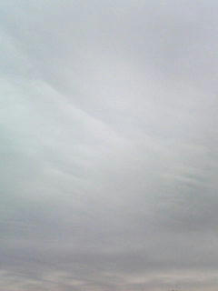 081127_0802.jpg