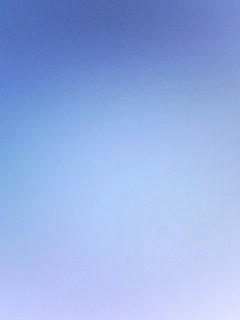 081201_0810.jpg