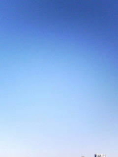 081201_0811.jpg