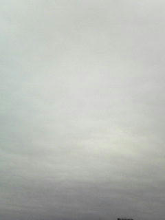 081202_0907.jpg