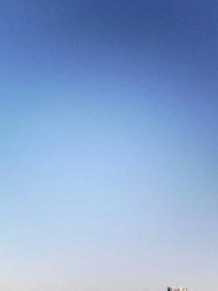 081203_0753.jpg
