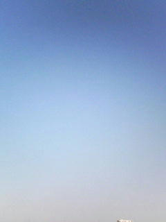081204_0901.jpg