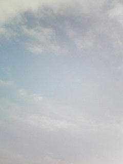 081205_0749.jpg