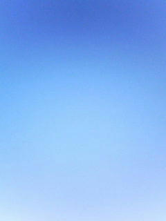 081207_0908.jpg