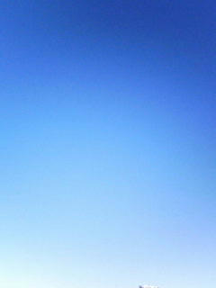 081207_0909.jpg