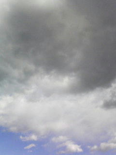 081226_1110.jpg