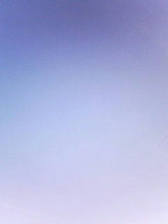 090108_0826.jpg