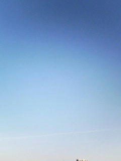 090108_0827.jpg