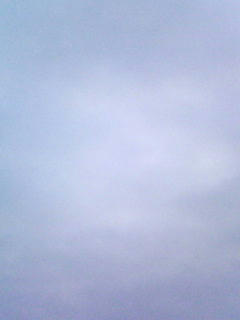 090205_0625.jpg