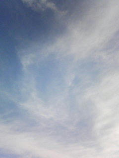 090218_0733.jpg