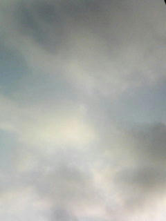 090416_0606.jpg