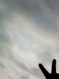 090416_0607.jpg