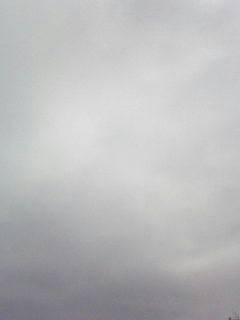 090416_0724.jpg