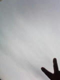 090424_0650.jpg