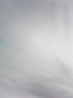 090424_0651.jpg