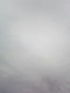 090424_0714.jpg