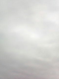 090424_0820.jpg