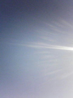 090427_0711.jpg