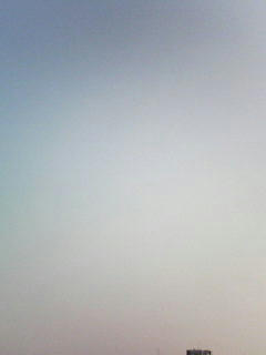 090520_0613.jpg