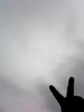 090614_0821.jpg