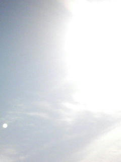 1b1b755d.jpg