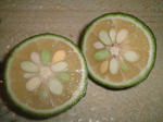 yuzu