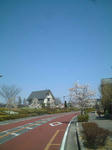 kobusidouri