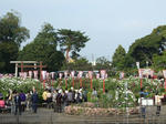 yakyu-zinjya