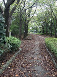 sennendani