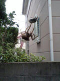 070821_1207~0001.jpg