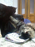 080209_2219~0001.jpg