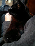 080209_2215~0001.jpg