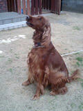 080209_1227~0001.jpg