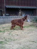 080209_1226~0001.jpg
