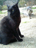 080210_1046~0002.jpg