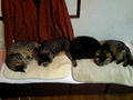 071124_2346~0002.jpg