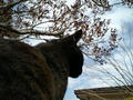 080308_1223~0002.jpg
