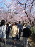 CIMG0040.jpg