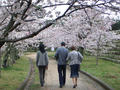 CIMG0066.jpg