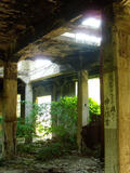 38096cbc.jpg