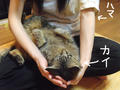 a5d637b9.jpg