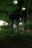 69ab21d9.jpg