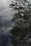 1260a1b0.jpg