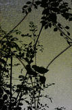 805a2868.jpg