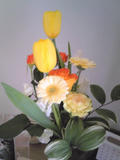 110325_144854.jpg